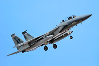 F-15 Eagle - 40 FLTS