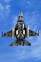 UAE F-16 Fighting Falcon